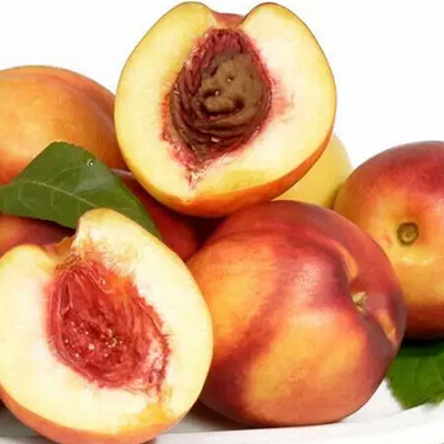 桃仁油 Prunus persica